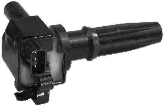 Ignition Coil (10401)