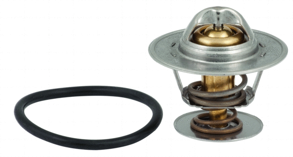 Thermostat, coolant (92352)
