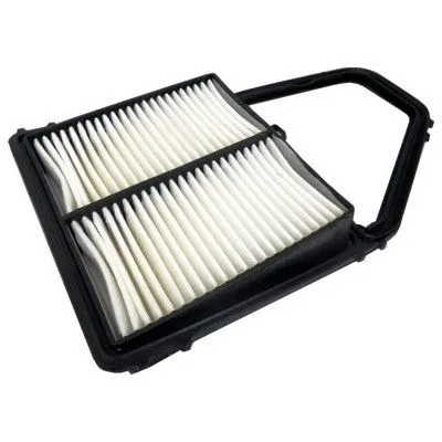 Air Filter (18098)
