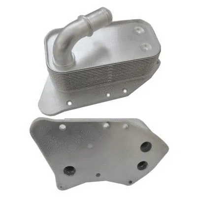 Oil Cooler, engine oil (95146)