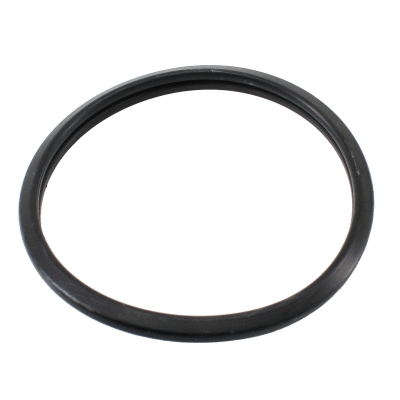 Seal, thermostat (01690)