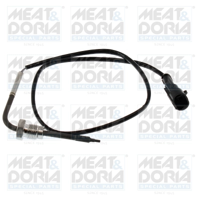Sensor, exhaust gas temperature (12749)