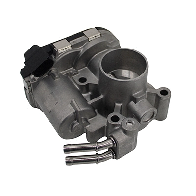 Throttle Body (89210E)