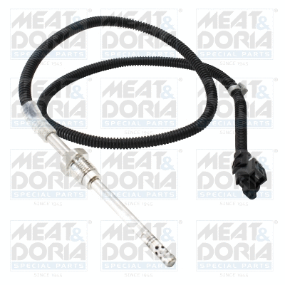 Sensor, exhaust gas temperature (12540)