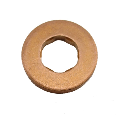 Seal, injector holder (9878)