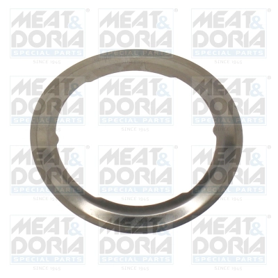 Gasket, EGR valve (016217)