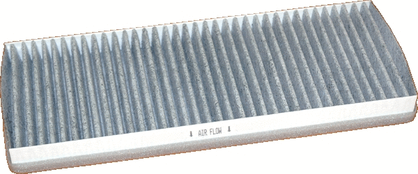 Filter, cabin air (17340FK)