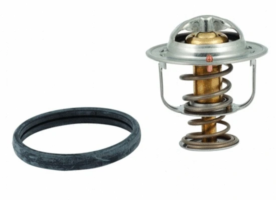 Thermostat, coolant (92438)