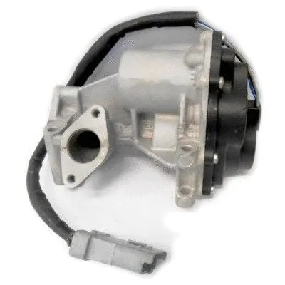 EGR Valve (88316R)