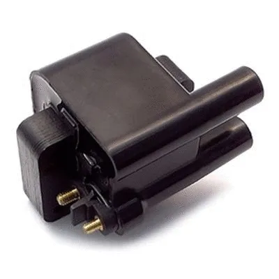 Ignition Coil (10534)