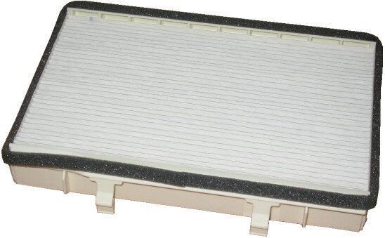 Filter, cabin air (17179F)