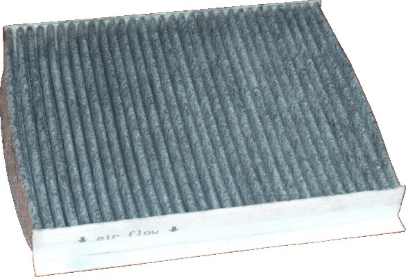 Filter, cabin air (17417K)