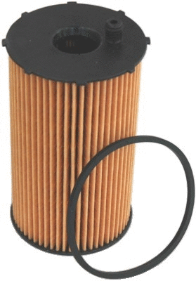 Oil Filter (14099)