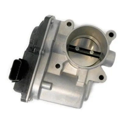 Throttle Body (89268)