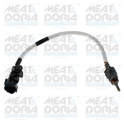 Sensor, exhaust gas temperature (12188)