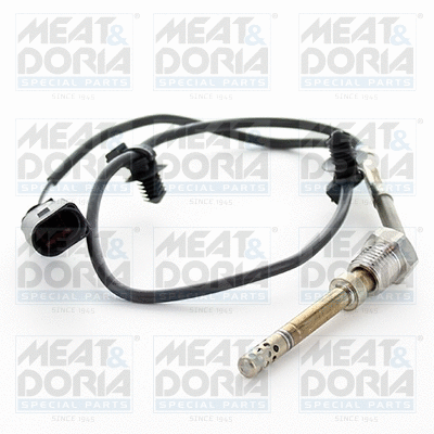 Sensor, exhaust gas temperature (12335)