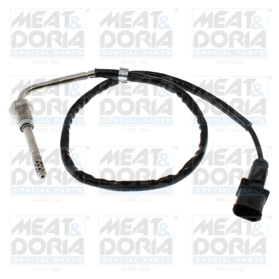 Sensor, exhaust gas temperature (12756)