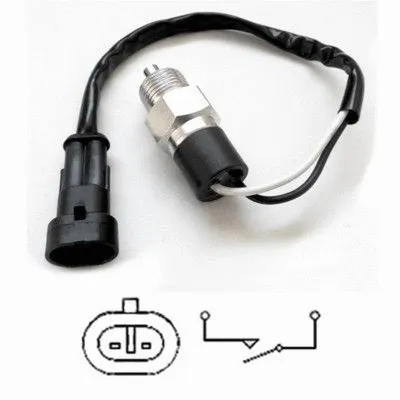 Switch, reverse light (36045)