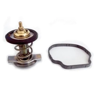 Thermostat, coolant (92837)