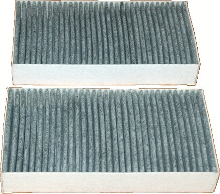 Filter, cabin air (17293K-X2)