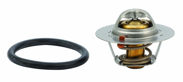 Thermostat, coolant (92342)