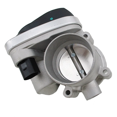 Throttle Body (89543)