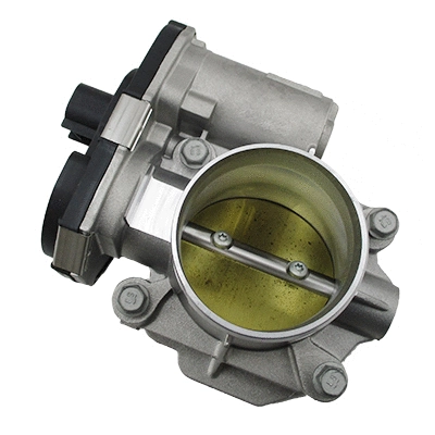 Throttle Body (89462)