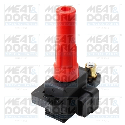 Ignition Coil (10900)