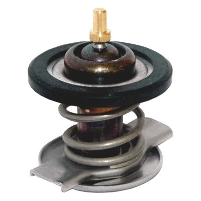 Thermostat, coolant (92677IN)