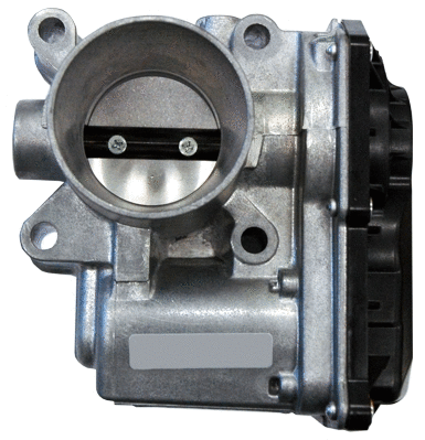 Throttle Body (89121)