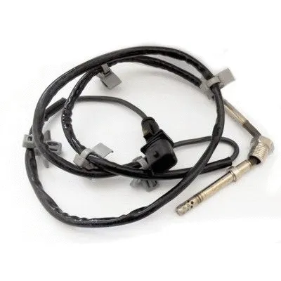 Sensor, exhaust gas temperature (12207)