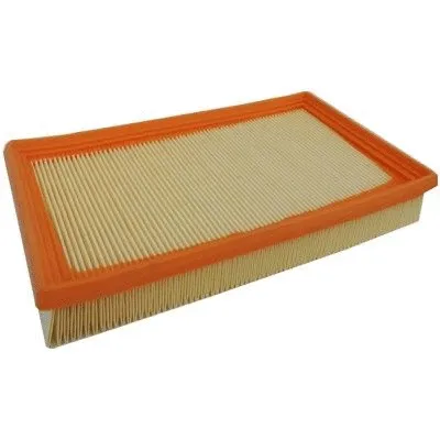 Air Filter (18138)