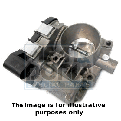 Throttle Body (89213R)