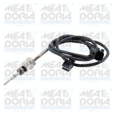 Sensor, exhaust gas temperature (12717)