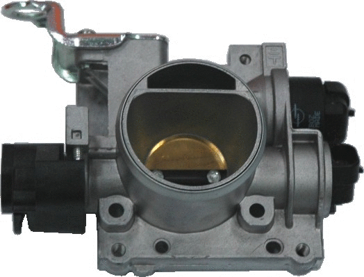 Throttle Body (89065)