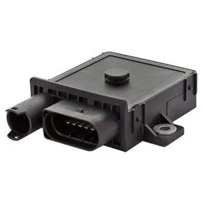 Control Unit, glow time (7285683)