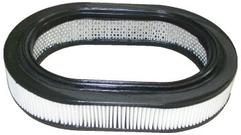 Air Filter (16400)