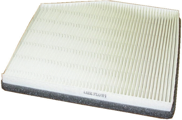 Filter, cabin air (17100)