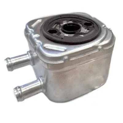 Oil Cooler, engine oil (95004)