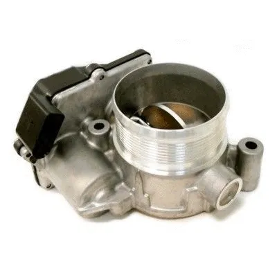 Throttle Body (89200)