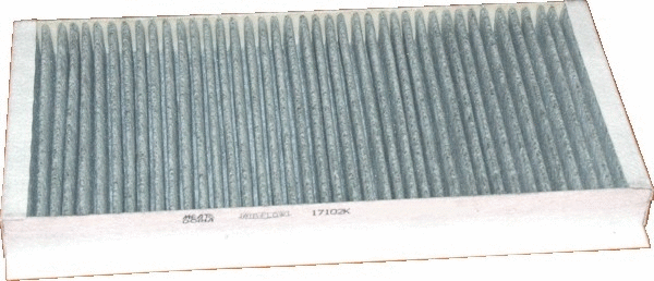 Filter, cabin air (17102K)