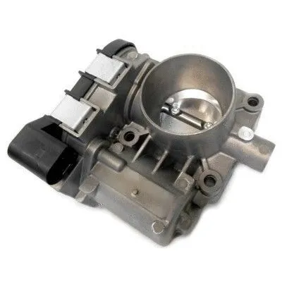 Throttle Body (89213)