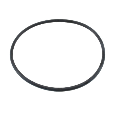 Seal, thermostat (01655)