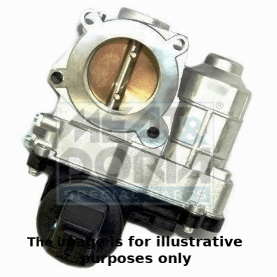 Throttle Body (89167R)