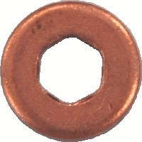 Seal Ring, nozzle holder (9218)