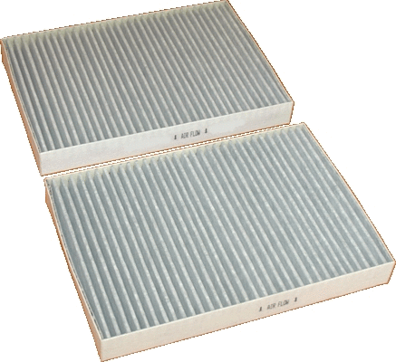 Filter, cabin air (17294K-X2)