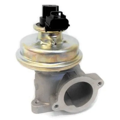 EGR Valve (88335)