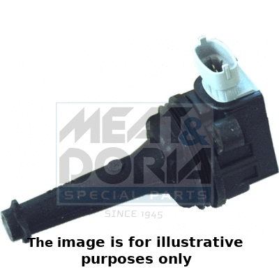 Ignition Coil (10555E)