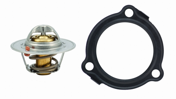 Thermostat, coolant (92138)