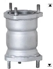 Catalytic Converter (DAK-909)
